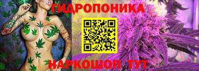 бошки Будённовск